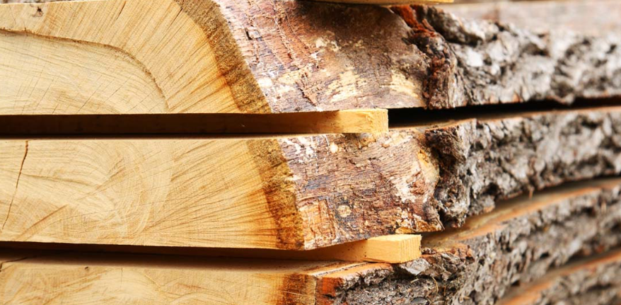 Lưu Ý Khi Chọn Mua và Sử Dụng Đồ Nội Thất Gỗ Sồi