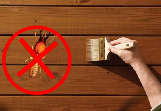 Phòng ngừa mối mọt cho gỗ tự nhiên