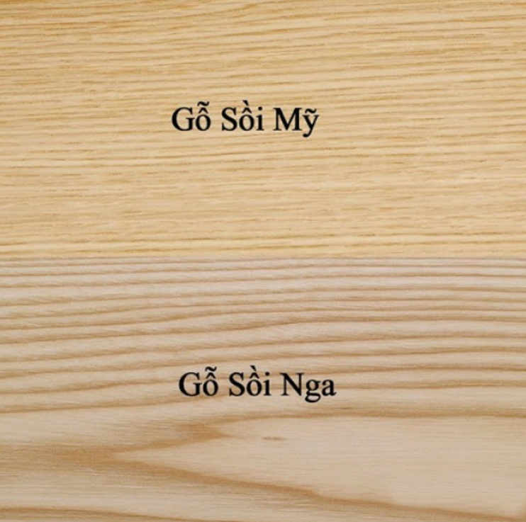 So Sánh Gỗ Sồi Nga và Gỗ Sồi Mỹ